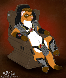 Klingon Defense Ferret By: Moody Ferret by AxleFurret