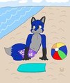 At the Beach by UkyoShadowfox