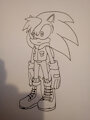Jules Hedgehog (A Rose Blossoms) by EmbertheArtist