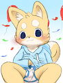 Shiba Birthday! by MyroTiggy