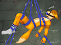 Hang in there Foxy (socks) by Tsukuyomibloom