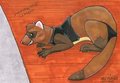 Axle Furret Carpet Shark By Saidyah by AxleFurret